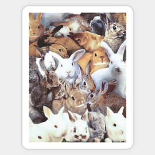 Rabbits Sticker